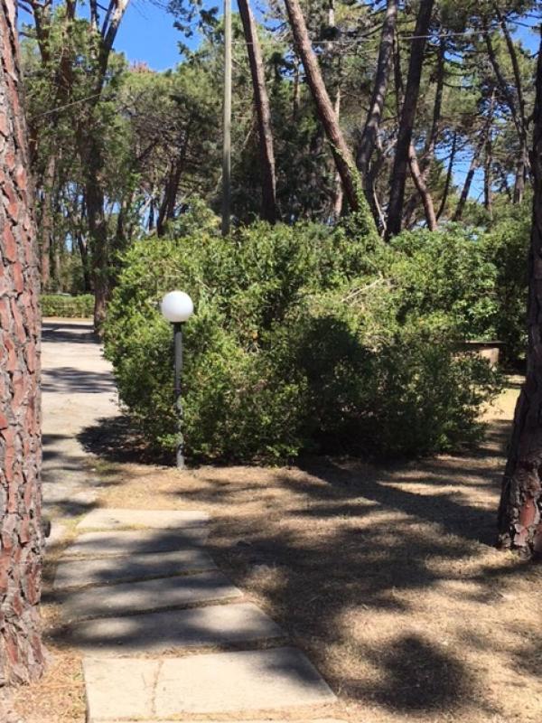 Maremmare Tuscany Apartments Principina a Mare Exterior foto